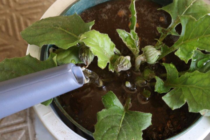 スリムじょうろ 使用例