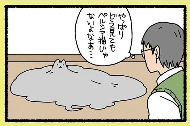 やっぱりどう見てもペルシア猫じゃないよなぁ （C）ぱんだにあ／竹書房