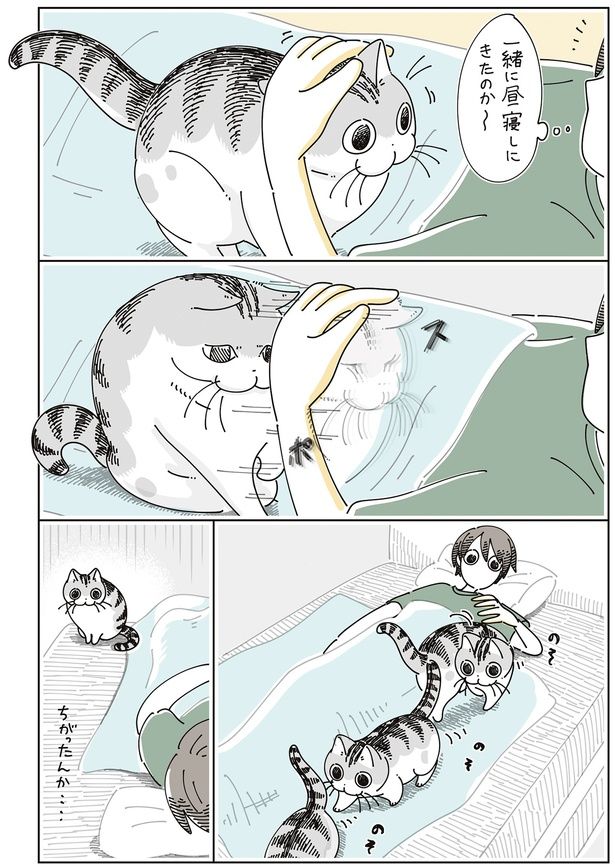 ちがったんか… （C）キュルZ／KADOKAWA