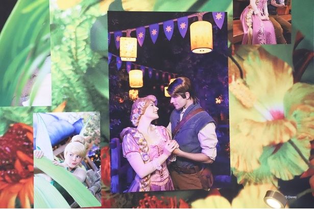 見つめ合うラプンツェルとフリン・ライダーに胸キュン