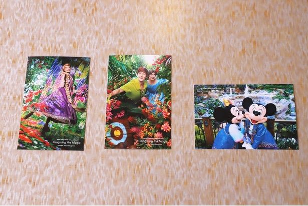 【写真】宿泊者がもらえるポストカードは3種類！※写真のポストカードは前期のデザイン