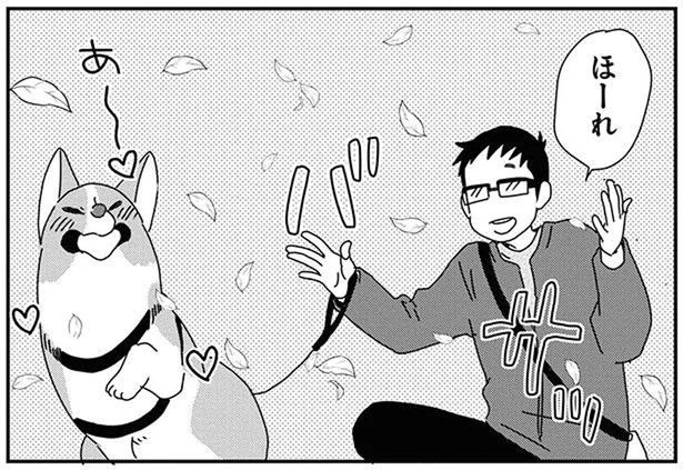 散歩中に愛犬と落ち葉遊び。楽しいひとときのはずが、すぐに後悔！ (C)らくだ／KADOKAWA