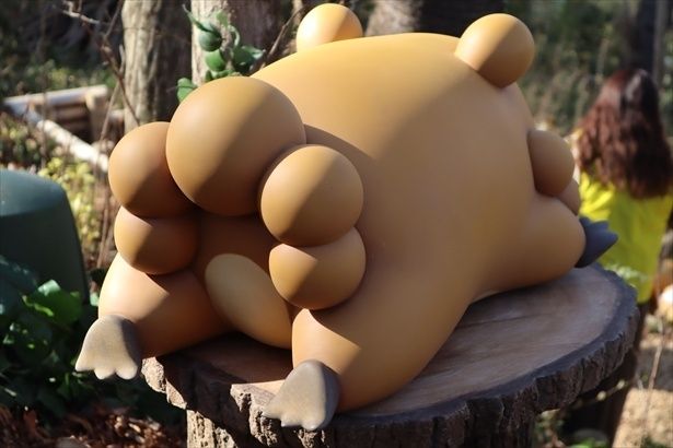 後ろから観察するのもおすすめしたい