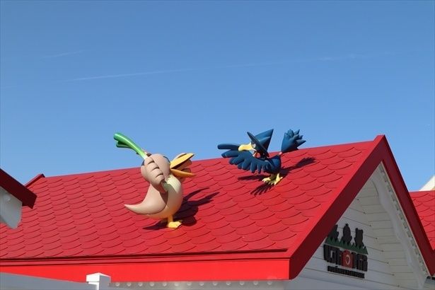 カヤツリタウンのあちこちにいるポケモンの姿を楽しもう