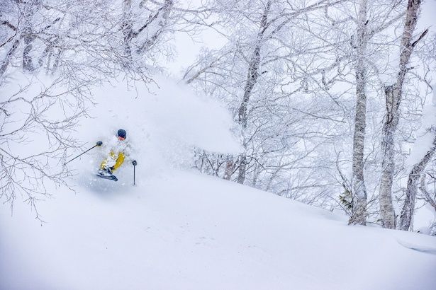 顔にかかるほどの極上パウダー(フェイスショット)を求めて、多くのライダーがイゾラを目指す