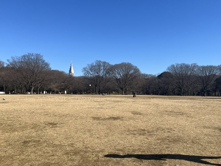 代々木公園1