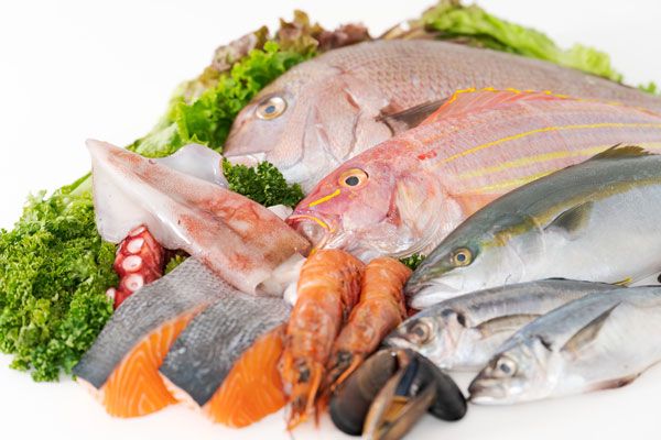 食べ方習慣2：腸内環境と血管を元気する食材で脳の炎症も防ぐ！