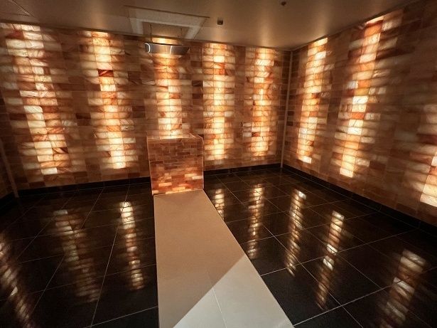 ヒマラヤ岩塩が敷き詰められた「SALT BRICK」