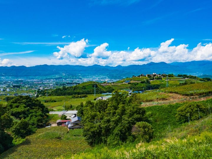 All About ニュース編集部が全国250人を対象に実施した「国内旅行先に関するアンケート」の調査結果から、長期休みに行きたいと思う「山梨県の旅行先」ランキングを発表！ 同率2位の「甲州市勝沼 ぶどうの丘」「富士五湖」を抑えた1位は？