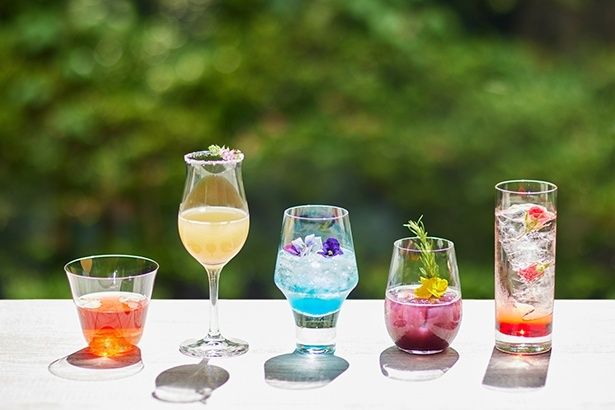 花の色彩を表現したモクテル