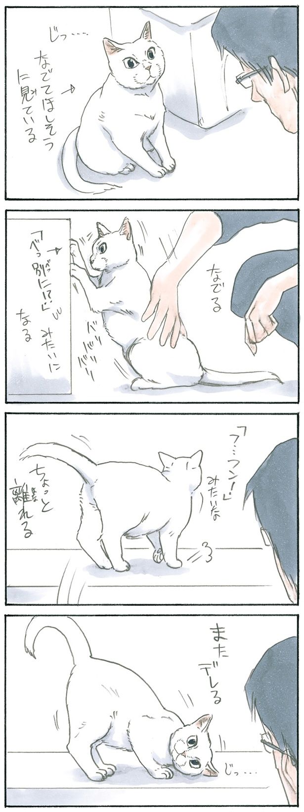 なでてほしそうに見ている （C）にごたろ／KADOKAWA