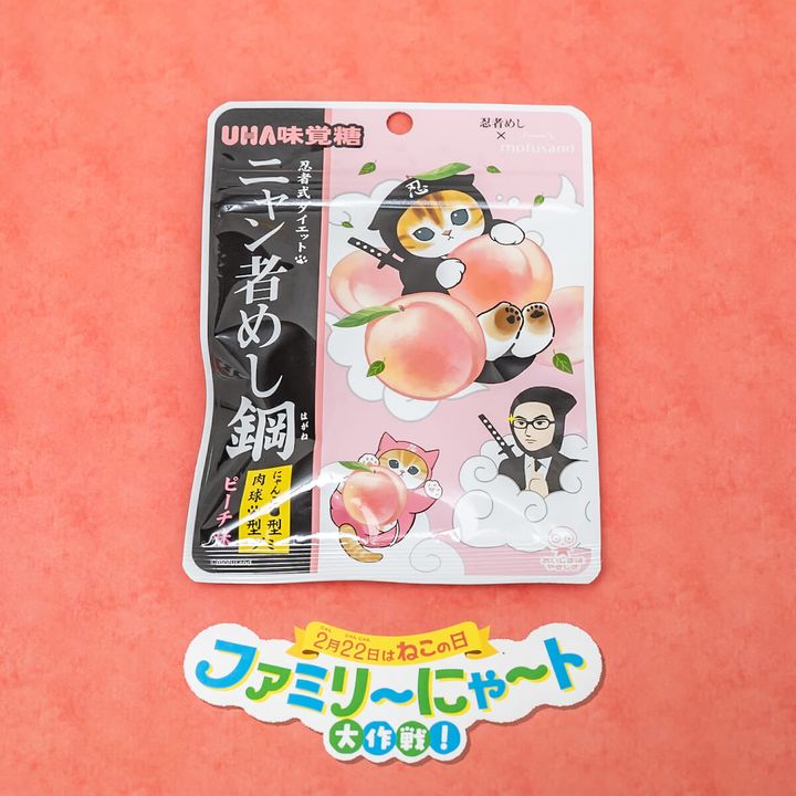 ニャン者めし鋼 ピーチ味