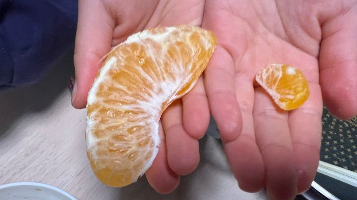 りんご殿下（@ringoman1030）さんのXより