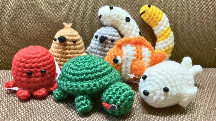 寺泊水族博物館公式Xより