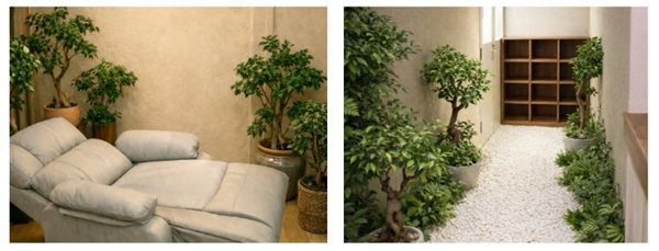 【大阪府大阪市】都会の中の森のようなドライヘッドスパサロン「GAJU」が大阪・西天満にオープン