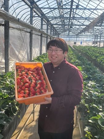 農園直送、旬の苺が主役！TO THE HERBSで期間限定「苺フェア」がスタート