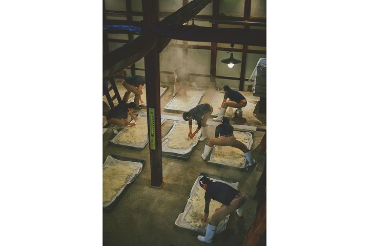 生酛純米酒用の竜王山田錦（65％精米）の放冷作業の様子