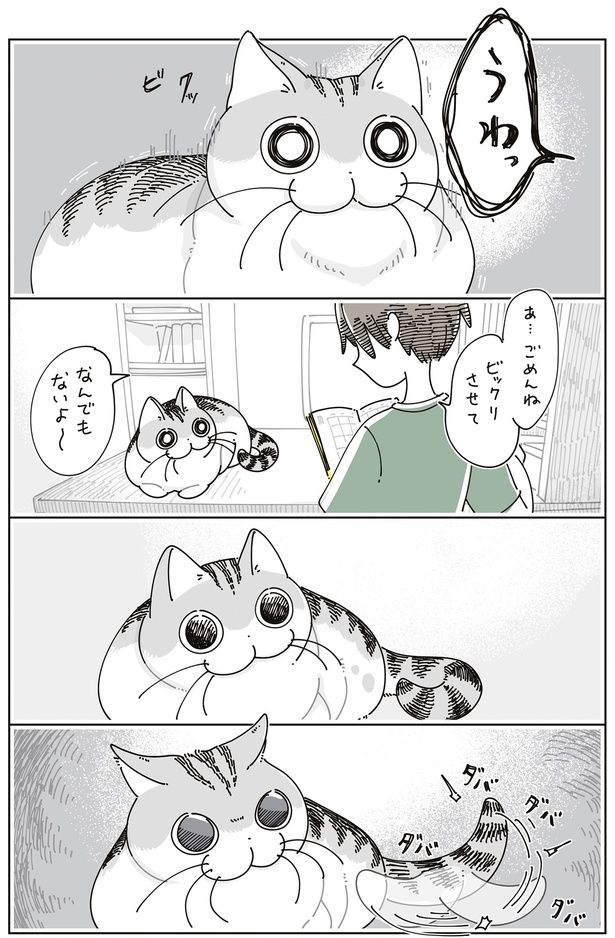 ビクッ！ （C）キュルZ／KADOKAWA