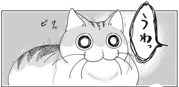 飼い主の声にびっくり （C）キュルZ／KADOKAWA