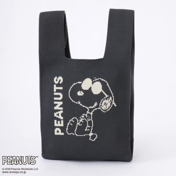 「ニットミニトートバッグ(ブラック)」(1650円)