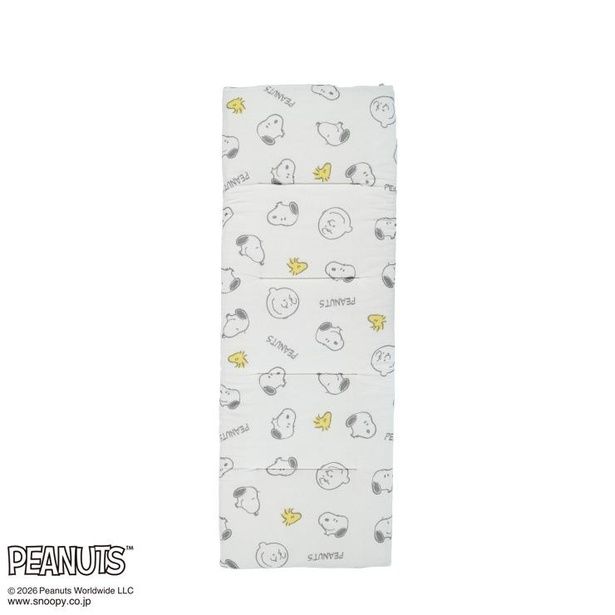 「フリーシートクッション」(2629円)