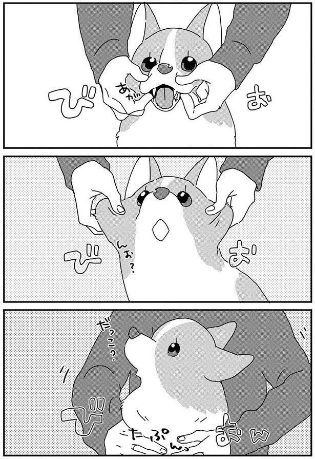 だっこ？ (C)らくだ／KADOKAWA