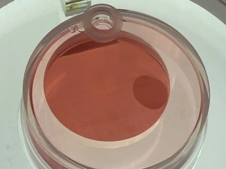 万博での「心筋シート」