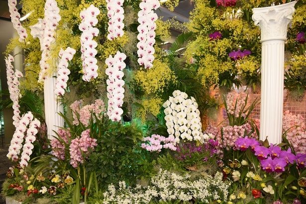 撮影：ソムタム田井