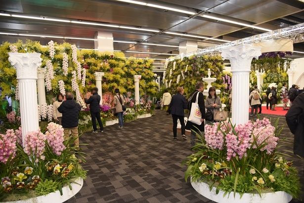 庭園のような雰囲気の「オーキッド・テラス」 撮影：ソムタム田井