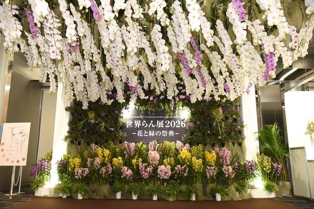 約100万輪もの蘭が楽しめるイベントが7日間限定で開催 撮影：ソムタム田井