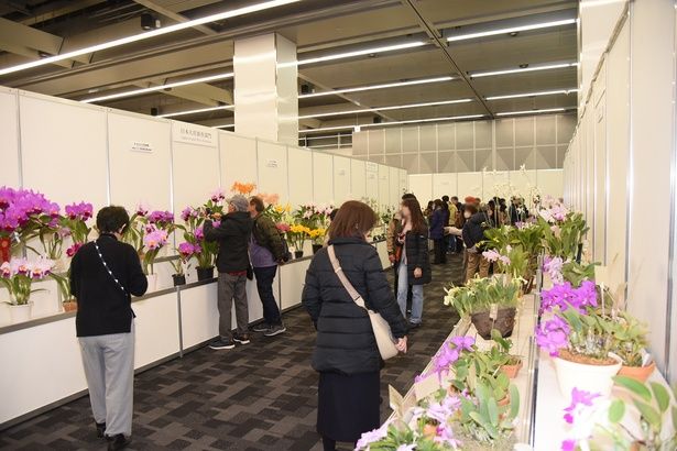 “日本大賞審査部門”の展示コーナー 撮影：ソムタム田井