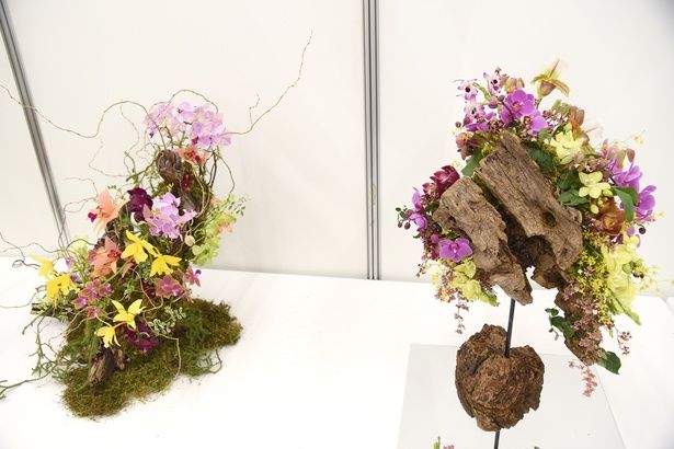 撮影：ソムタム田井