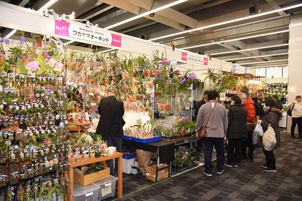 内覧会でも｢花と緑のマーケット｣は大盛況だった 撮影：ソムタム田井