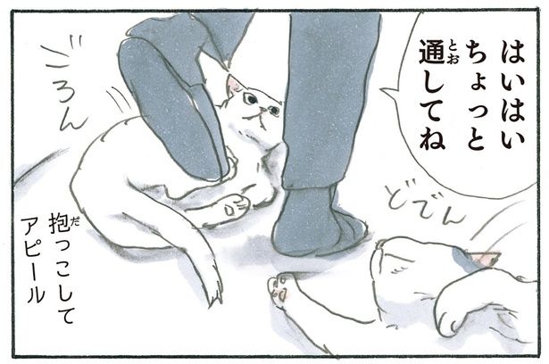 抱っこしてアピール （C）にごたろ／KADOKAWA