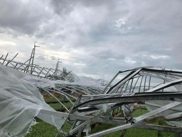 災害時の野菜不足を解消する！大阪・八尾発の野菜料理缶詰「Vege-Can」クラファン開始