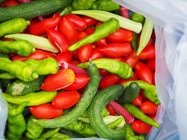 災害時の野菜不足を解消する！大阪・八尾発の野菜料理缶詰「Vege-Can」クラファン開始