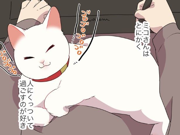 なんだかんだ猫の思い通りになってしまう話_P01 久川はる(@hisakawa_haru)