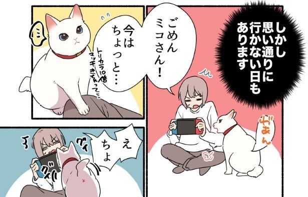 手が離せないときもあるのだが、猫様には関係ない？ 久川はる(@hisakawa_haru)