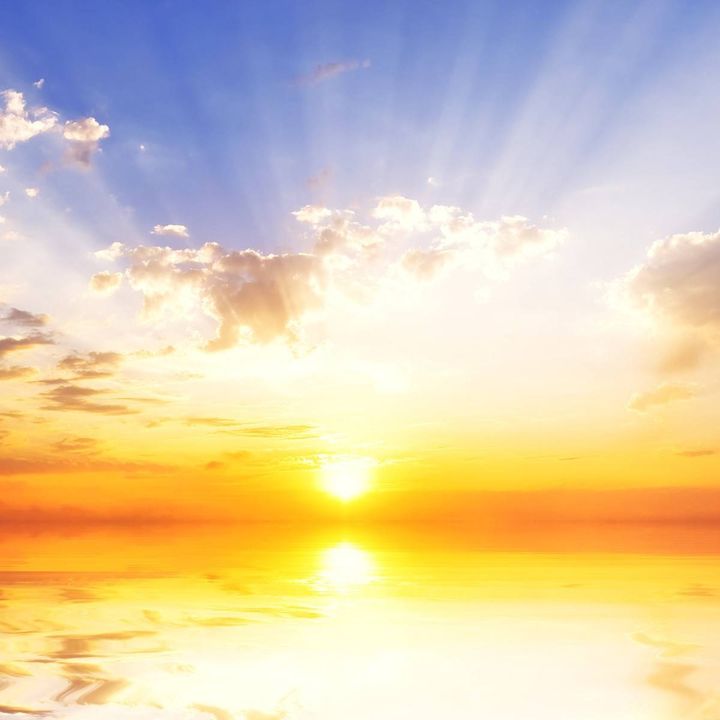 2026年2月6日(金)