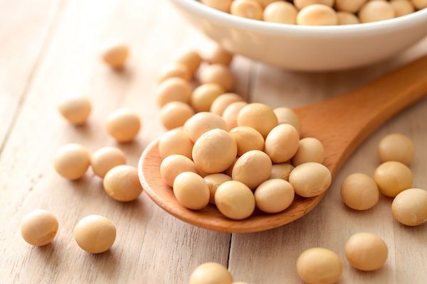 国産有機大豆「Bihadaiz」がマタニティフード協会認定を取得。産前産後の食を支援。