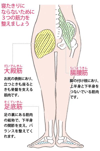 寝たきりにならないために整えたい3つの筋力