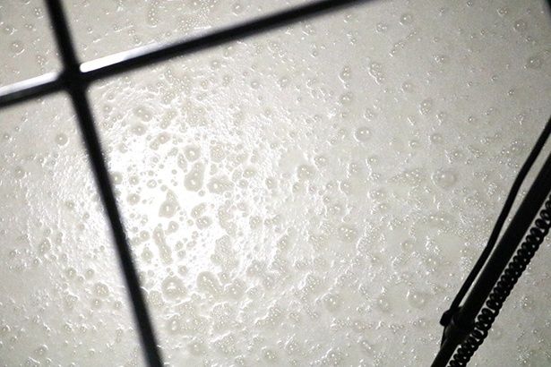 発酵タンクの中は表面の泡もよく見える。今回音を聞いたのは、仕込んで10日目の純米のタンク