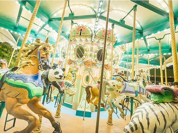 たくさんの動物たちに乗れる「ヴィーナスラグーン」