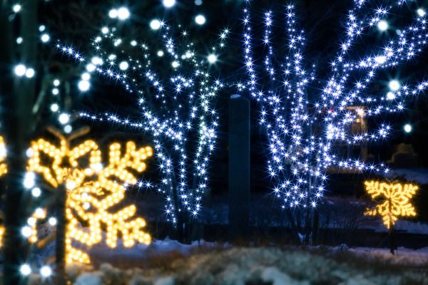 【長崎県雲仙市】“花火×光×湯けむり”のイルミネーションイベント「雲仙灯りの花ぼうろ2026」開催！