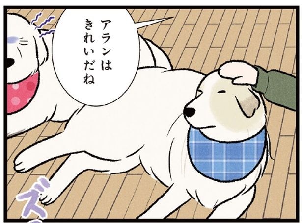 「わたしのこともほめなさいよ！」大型犬のジェラシーに飼い主も困惑 （C）今日のルンルン、黒羽沙乃／KADOKAWA