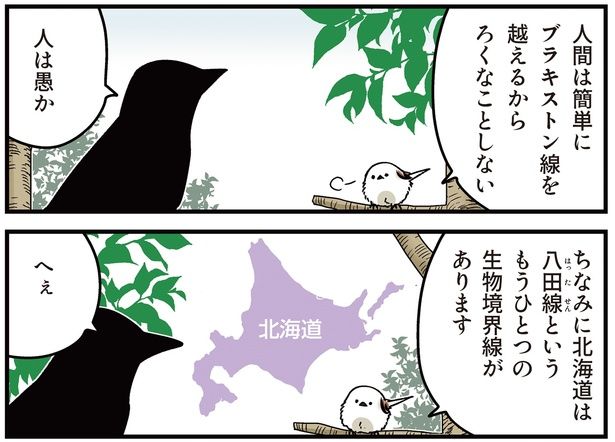 人は愚か （C）青春／KADOKAWA