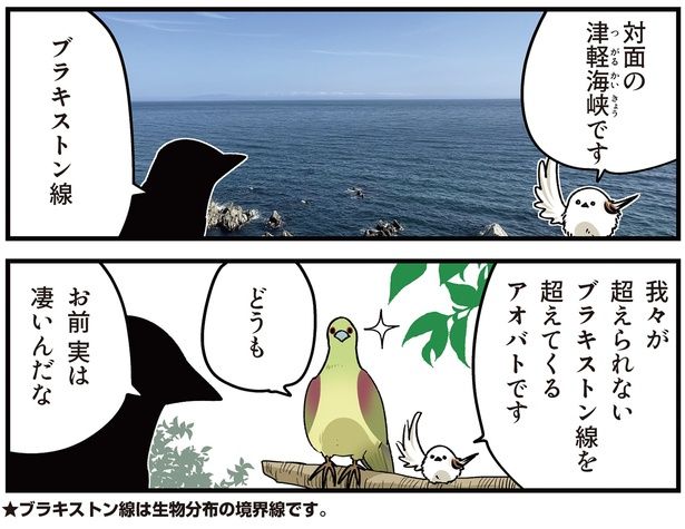 ブラキストン線 （C）青春／KADOKAWA