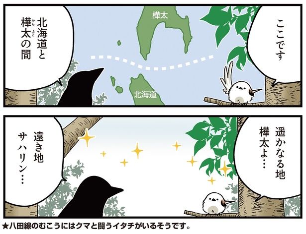 遥かなる地樺太よ… （C）青春／KADOKAWA