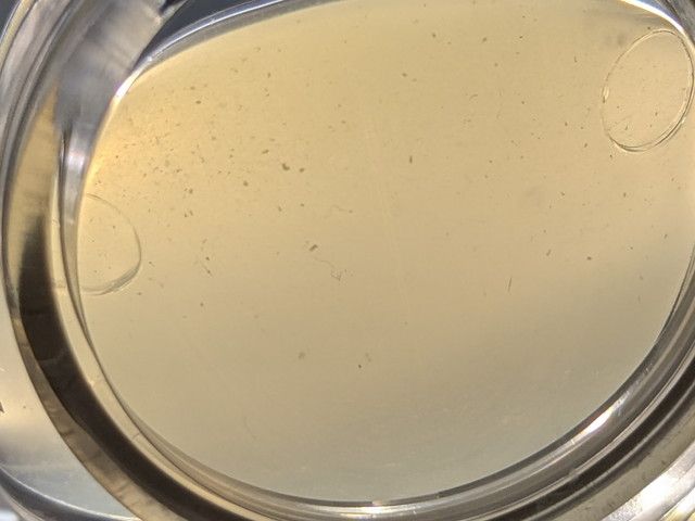 ハイドラフェイシャル