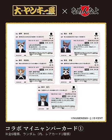 【埼玉県さいたま市】ヤンキーブーム再到来！体験イベント「大ヤンキー展」開催、ハイジ＆なめ猫コラボも